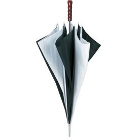 Paraplus 190 T Nylon gr�n/ wei�